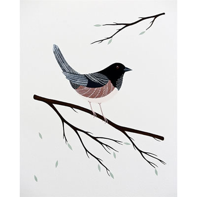 Eastern Towhee, Gouache and acrylic ink on paper