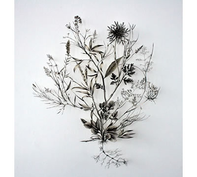 Soonest Mended, 2011, by Jo Coupe, photo: Jo Coupe. Antique botanical prints, archival tape, dissection pins. Image courtesy of the artist and Workplace Gallery