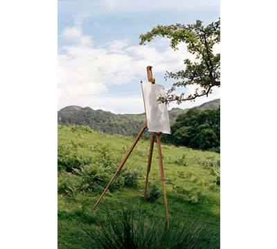Hawthorn on Easel #1, 2005, by Tim Knowles, photo: Tim Knowles Ink on paper and C-type print © Tim Knowles