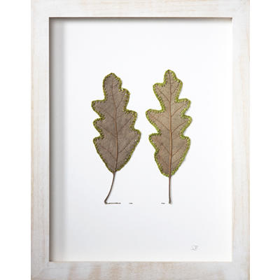 Connection (21.2 H x 16.7 W cm framed) oak leaves, cotton yarn Photo: Simon Cook