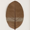 Band lll (29 H x 21 W cm framed) magnolia leaf, cotton yarn Photo: Simon Cook