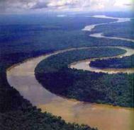 The Tigre River in the Peruvian rainforest 
