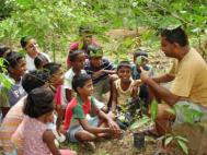 Biodiversity Lifeskills Foundation teaching children about the uses of medicinal plants. Photograph: