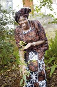 Kenyan Nobel Peace Prize winner Professor Wangari Maathai holds a tree that she planted in the Newla