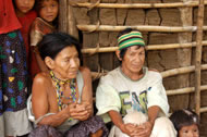 Guarani shaman and wife Photograph: Ghillean Prance