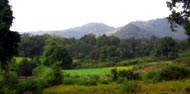 Panorama of the Niyamgiri landscape near to the village of Dangesarang. Photograph: Mark Heylar