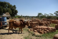 Building a community school. Photograph: Elizabeth Wainwright