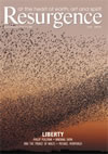issue cover 258