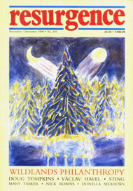 issue cover 191