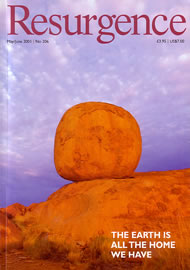 issue cover 206