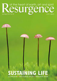 issue cover 261