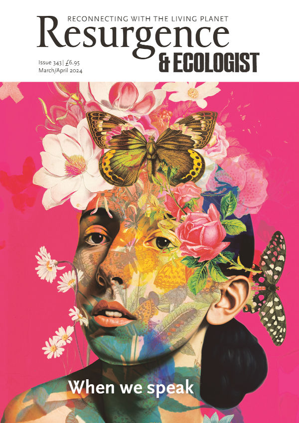 Resurgence & Ecologist issue cover 343