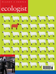 Cover of Ecologist issue 2003-06