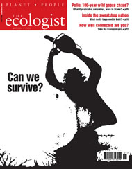 Cover of Ecologist issue 2004-05