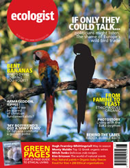 Cover of Ecologist issue 2005-05