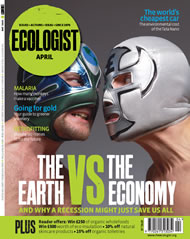 Cover of Ecologist issue 2008-04