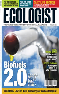 Cover of Ecologist issue 2009-01