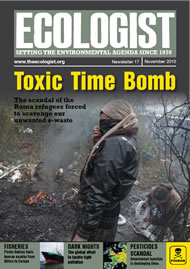 Cover of Ecologist issue 2010-11