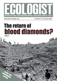 Cover of Ecologist issue 2011-08