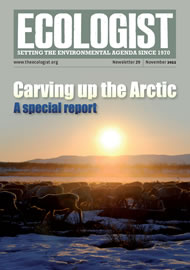 Cover of Ecologist issue 2011-11