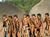 Cultural Vitality