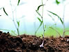 Climate-friendly Farming
