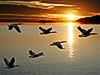 Making Life More Meaningful
