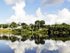 Global Canopy