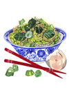 Diet: The Highest Form of Medicine