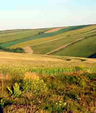 My Favourite Walk
