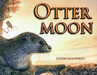 Otter Moon