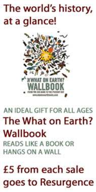 What on Earth Wallbook