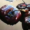 Black cherry II: 2009, Oil on Belgian Linen, 96 x 126cm