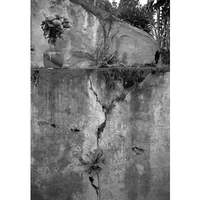 Cemetery, Kona Coast, HI 1985