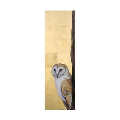 Barn Owl