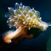 Peering into the abyss - Copyright Kate Jonker