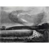 Starling Roost (willow charcoal drawing)