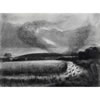 Starling Roost (willow charcoal drawing)