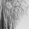 In the Stillness I, 2023 by Kim Anderson - Ink charcoal and graphite on paper, 56cm x 56cm