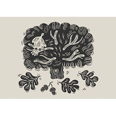 Oak Tree by Lauren Marina