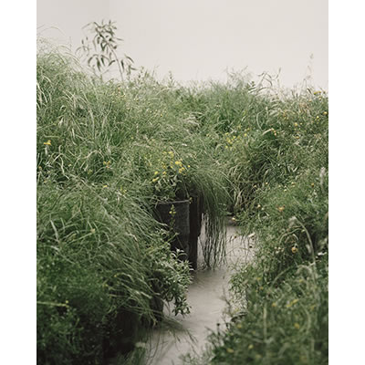 Grasslands Repair, 2018 by Linda Tegg with Baracco+Wright Architects. Photograph by Rory Gardiner