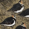 A Deceit of Lapwings, hand coloured linocut by Lisa Hooper