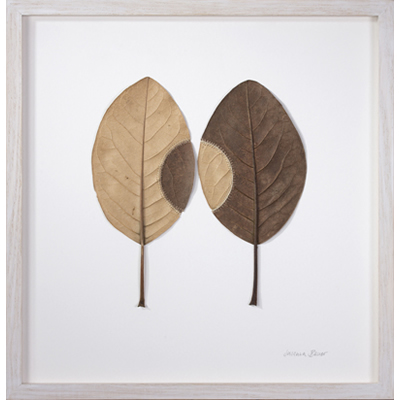 Trans-Plant No.9 (35.8 H x 34.7 W cm framed) magnolia leaves, cotton yarn Photo: Simon Cook