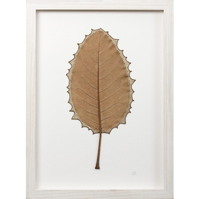 Pulse (29 H x 21 W cm framed) magnolia leaf, cotton yarn Photo: Simon Cook