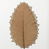 Pulse (29 H x 21 W cm framed) magnolia leaf, cotton yarn Photo: Simon Cook