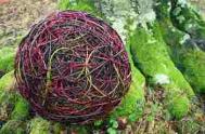 Lizzie Farey, willow ball