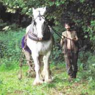 Samson, the shire horse, is the main source of traction.
