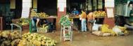 Food produced and eaten in the city of Havana - Photograph: Walter Schwarz