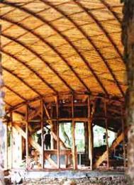 Detail of the roof. Photograph: David Tasker