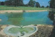 Flow form and sewerage system at Highgrove House. Photograph: Andrew Lawson